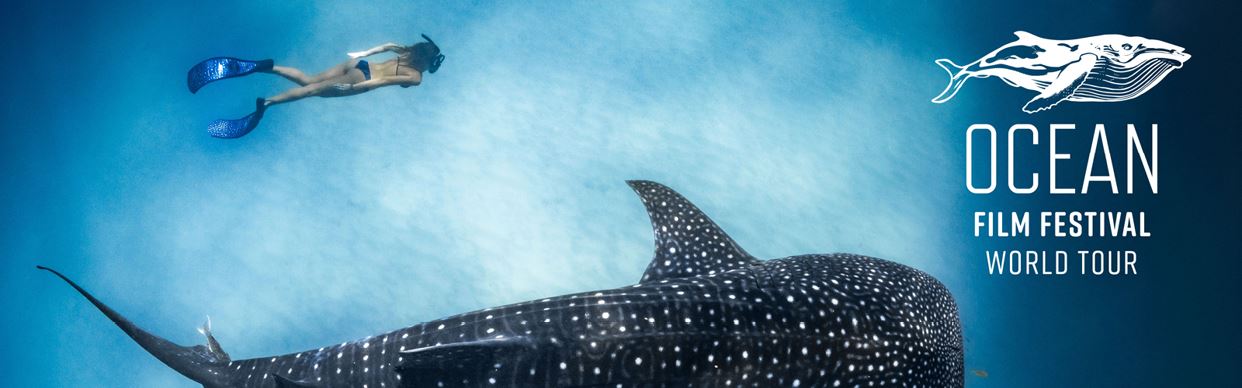 Ocean Film Festival World Tour 2027