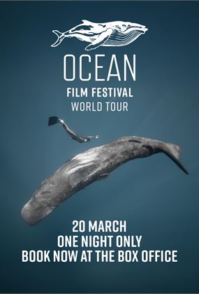 Ocean Film Festival World Tour 2025