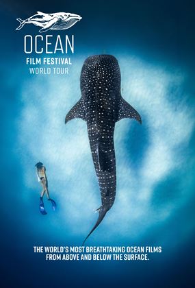 Ocean Film Festival World Tour 2027